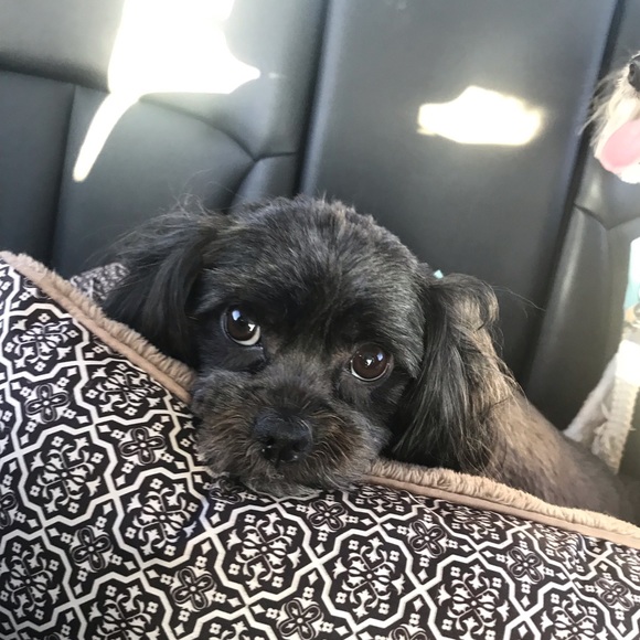 Something for Everyone! - Picture 5 of 8